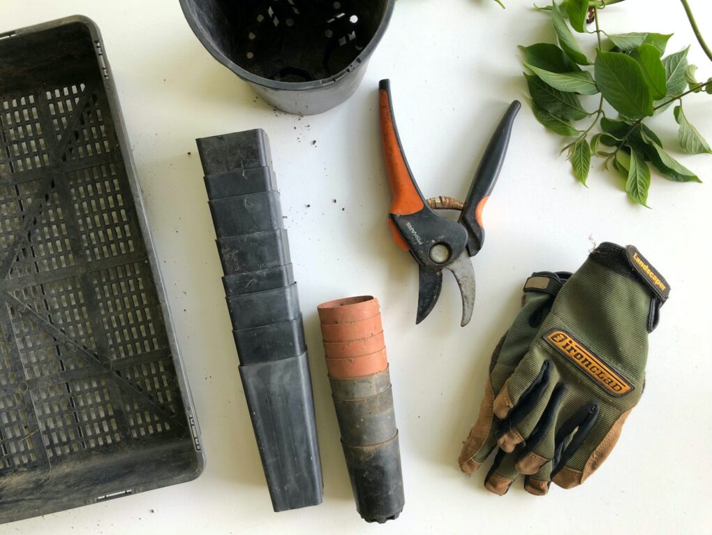 garden supplies on the table