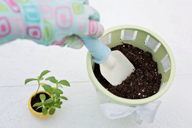 A person wearing a gardening glove carefully plants a small plant, promoting organic weed control in the garden